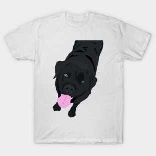 Black Labrador T-Shirt